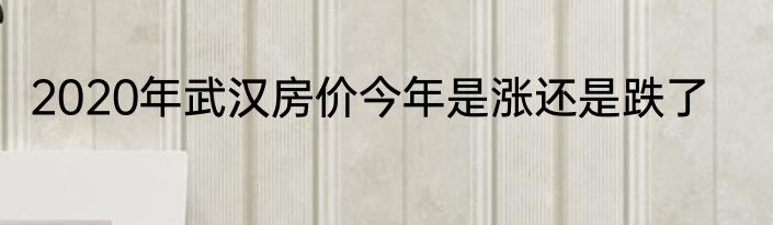 2020年武汉房价今年是涨还是跌了