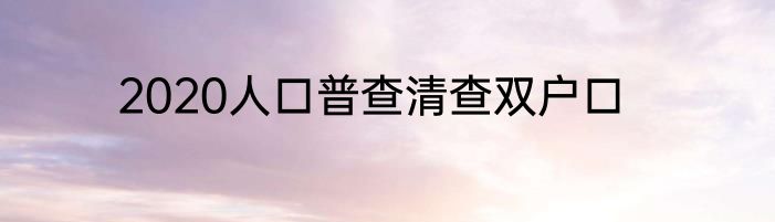 2020人口普查清查双户口