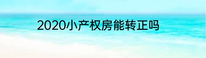 2020小产权房能转正吗