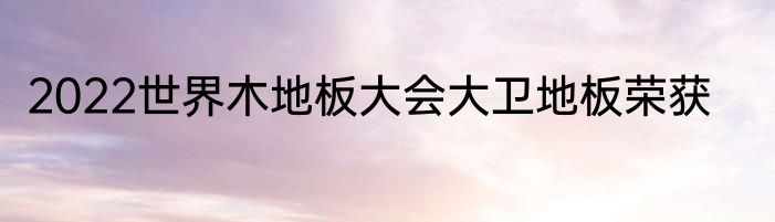 2022世界木地板大会大卫地板荣获