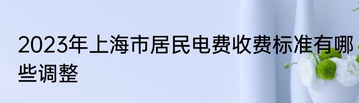 2023年上海市居民电费收费标准有哪些调整