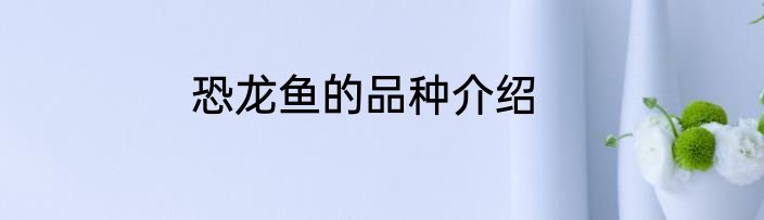 恐龙鱼的品种介绍