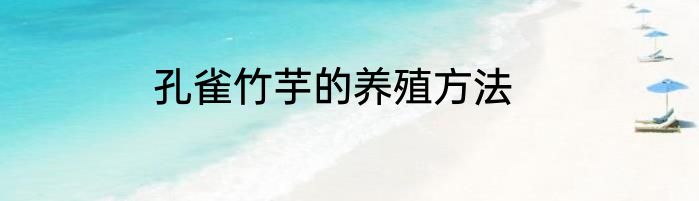 孔雀竹芋的养殖方法