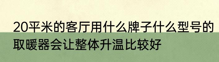 20平米的客厅用什么牌子什么型号的取暖器会让整体升温比较好