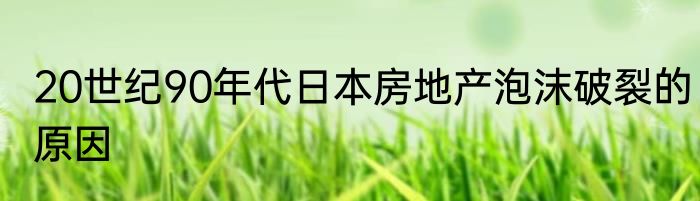 20世纪90年代日本房地产泡沫破裂的原因