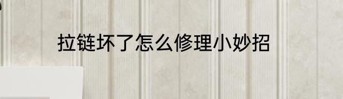 拉链坏了怎么修理小妙招