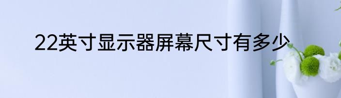 22英寸显示器屏幕尺寸有多少