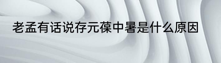 老孟有话说存元葆中暑是什么原因