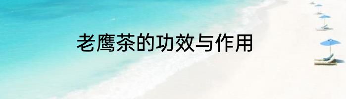 老鹰茶的功效与作用