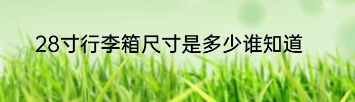 28寸行李箱尺寸是多少谁知道