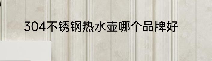 304不锈钢热水壶哪个品牌好