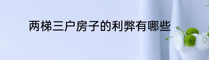 两梯三户房子的利弊有哪些