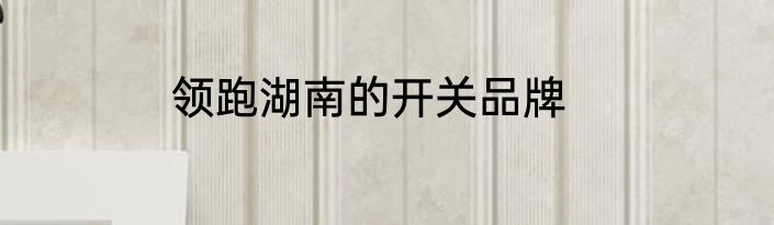 领跑湖南的开关品牌