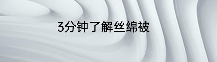 3分钟了解丝绵被