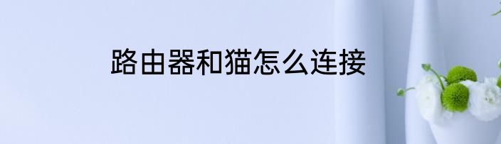 路由器和猫怎么连接
