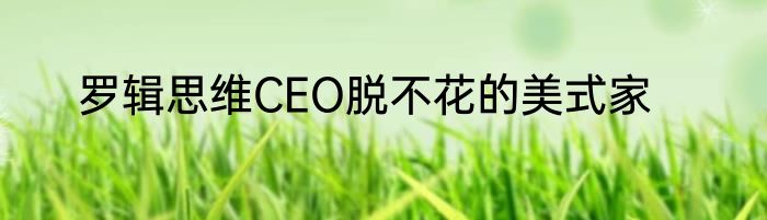 罗辑思维CEO脱不花的美式家