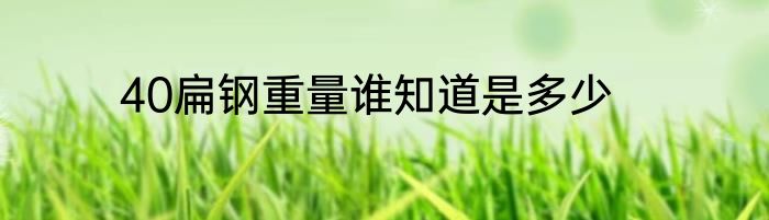 40扁钢重量谁知道是多少