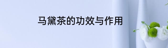 马黛茶的功效与作用