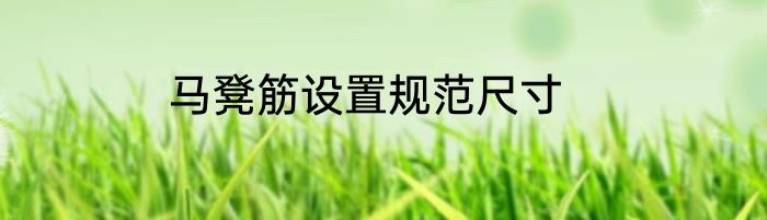 马凳筋设置规范尺寸