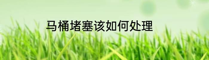 马桶堵塞该如何处理