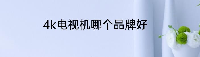 4k电视机哪个品牌好