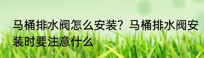 马桶排水阀怎么安装？马桶排水阀安装时要注意什么