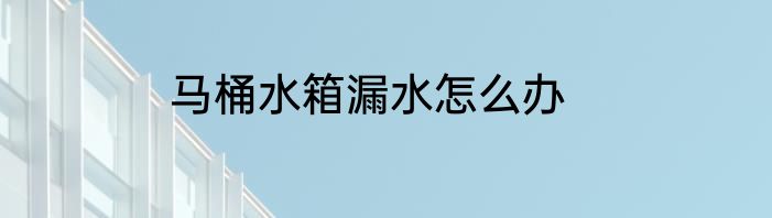 马桶水箱漏水怎么办