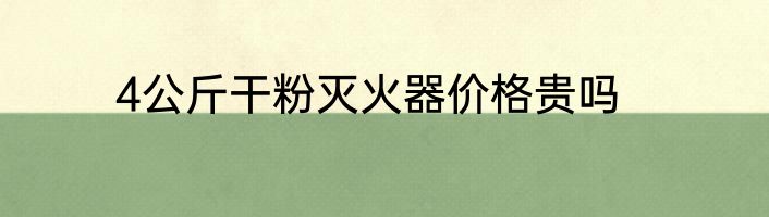 4公斤干粉灭火器价格贵吗
