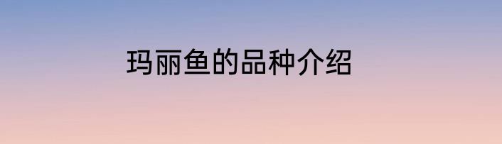 玛丽鱼的品种介绍