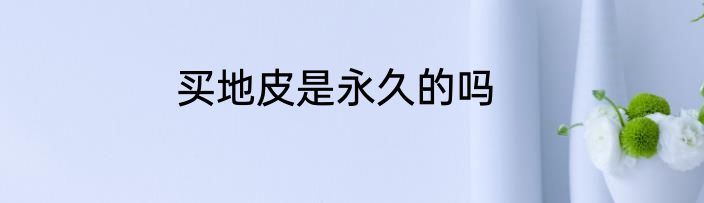 买地皮是永久的吗