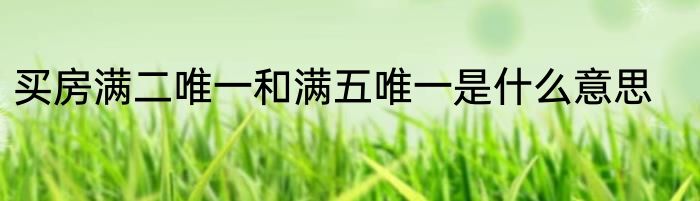 买房满二唯一和满五唯一是什么意思