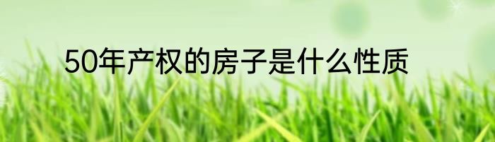 50年产权的房子是什么性质