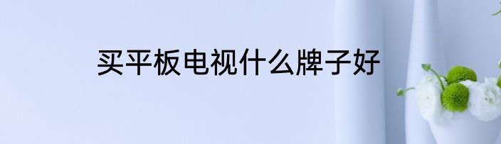 买平板电视什么牌子好