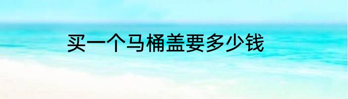 买一个马桶盖要多少钱