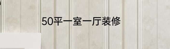 50平一室一厅装修