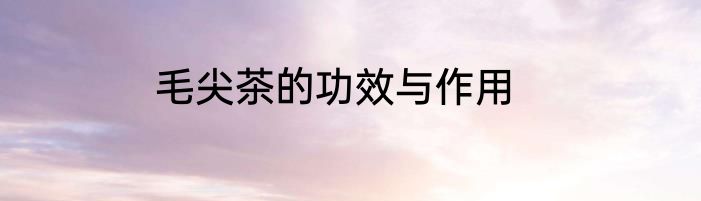 毛尖茶的功效与作用