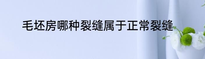 毛坯房哪种裂缝属于正常裂缝