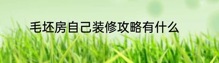 毛坯房自己装修攻略有什么