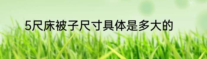 5尺床被子尺寸具体是多大的