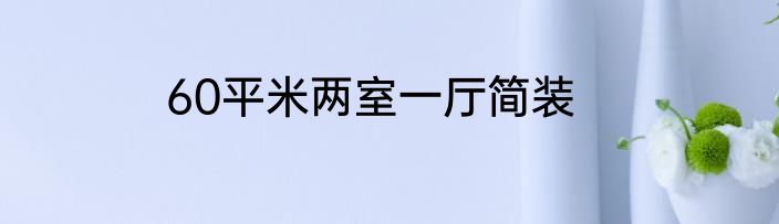 60平米两室一厅简装