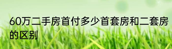 60万二手房首付多少首套房和二套房的区别