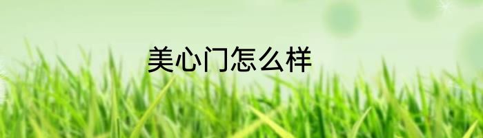 美心门怎么样