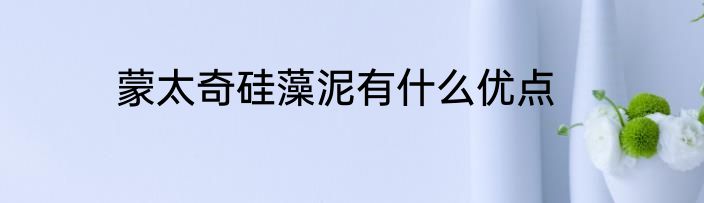蒙太奇硅藻泥有什么优点