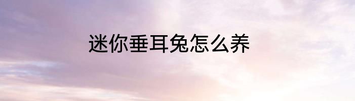 迷你垂耳兔怎么养