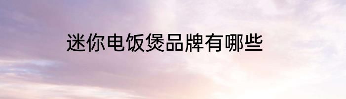 迷你电饭煲品牌有哪些