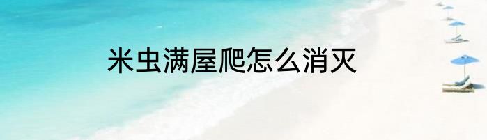 米虫满屋爬怎么消灭