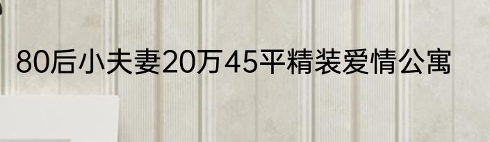 80后小夫妻20万45平精装爱情公寓