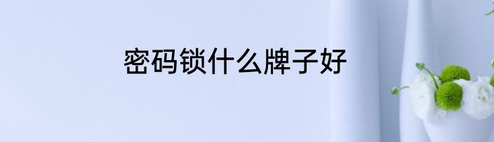 密码锁什么牌子好
