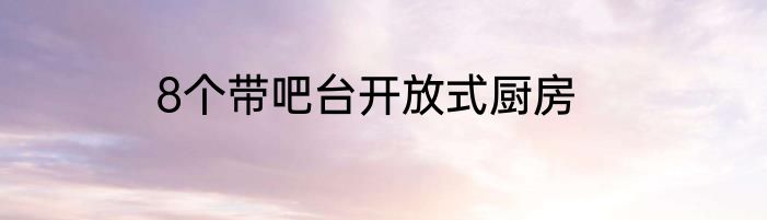 8个带吧台开放式厨房