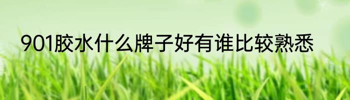 901胶水什么牌子好有谁比较熟悉